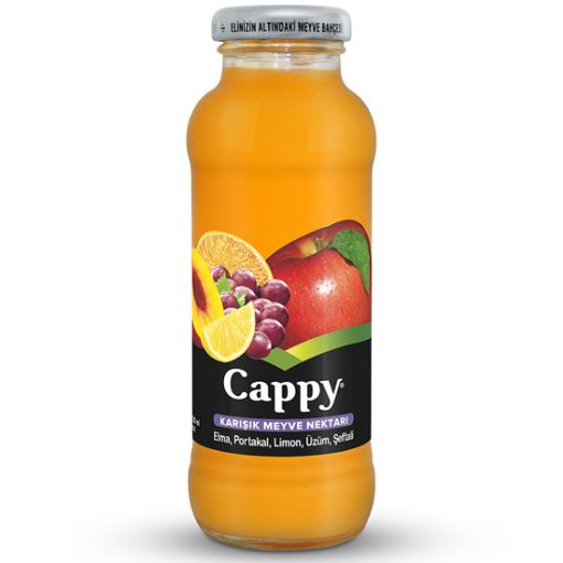 Cappy Karışık Meyve Nektarı Şişe 250 ml. ürün görseli