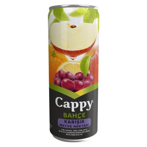 Cappy Karışık Meyve Suyu Kutu 330 ml. ürün görseli