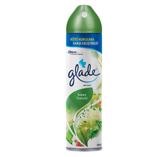 Glade Aerosol 300 Ml Mornıng. ürün görseli