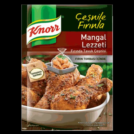 Knorr Mangal Lezzeti Tavuk Çeşnisi 29 Gr. ürün görseli