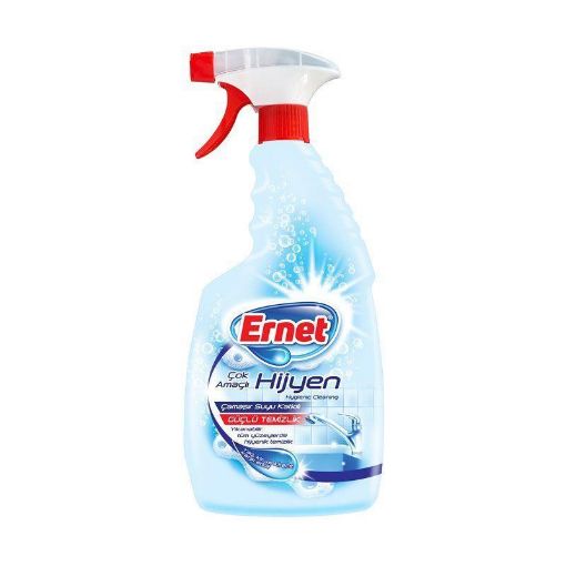 Ernet Çok Amaçlı Hijyen Yüzey Temizliyici 750 Gr. ürün görseli