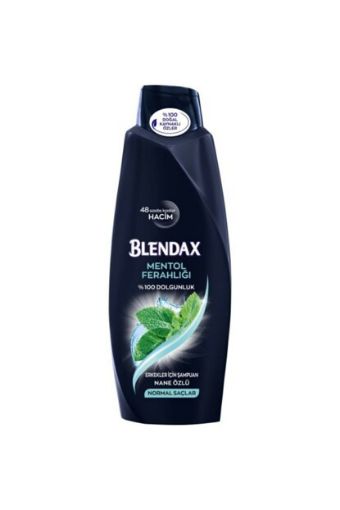 Blendax Şampuan 500 Ml Erkek Mentol Ferahlığı. ürün görseli