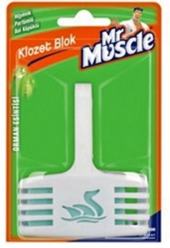 Mr Muscle Klozet Blok Orman Esintisi 1952 40 Gr. ürün görseli