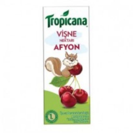 Tropicana Afyon Vişne Aromalı Meyve Suyu 200 ml. ürün görseli