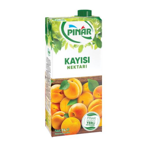 Pınar Meyve İçecek 1/1 Kayısı. ürün görseli