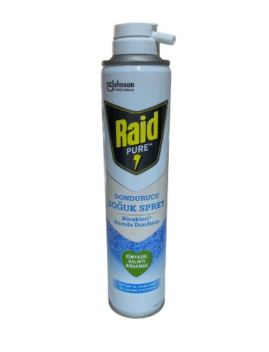 Raid Pure Böcek Dondurucu Sprey 350 ml. ürün görseli