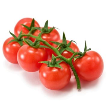 Resim Domates Salkım (Kilo)