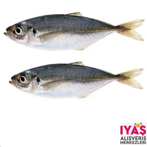 Detay İsim . ürün görseli