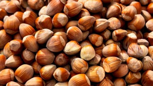 Barida Kabuklu Fındık Kilo. ürün görseli