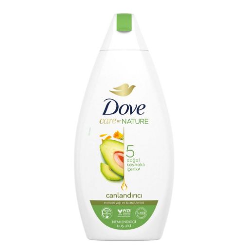 Dove Hindistan Cevizi Yağı ve Badem Özlü Duş Jeli 450 ml. ürün görseli