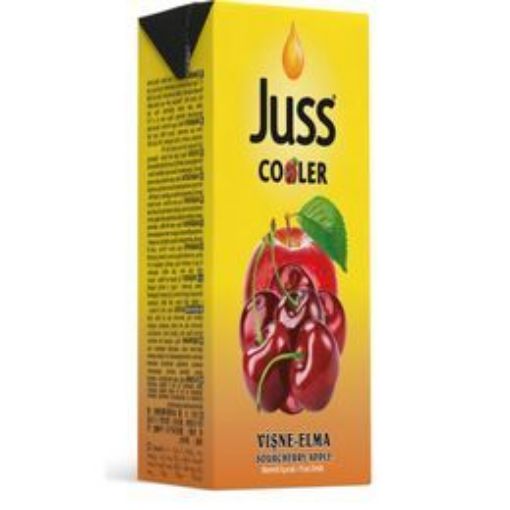 Juss Cooler Elma & Vişne Aromalı Meyve Suyu 200 ml. ürün görseli