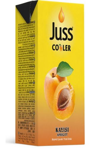 Juss Cooler Kayısı Aromalı Meyve Suyu 200 ml. ürün görseli