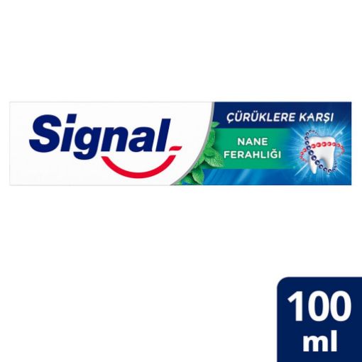 Signal Çürüklere Karşı Nane Diş Macunu 100 ml. ürün görseli