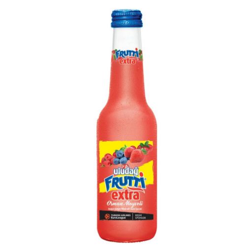 Uludağ Frutti Extra Orman Meyveli 250 Ml.... ürün görseli