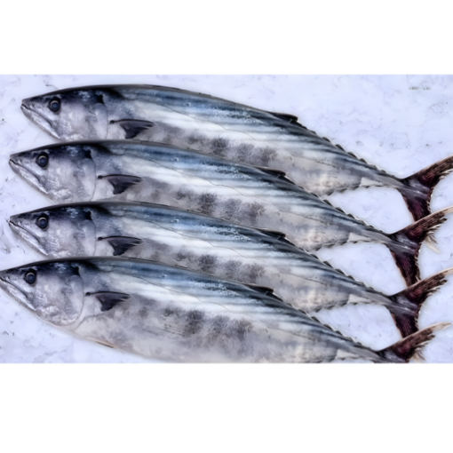 Karadeniz Yerli Palamut (ADET) Temizlenmiş. ürün görseli