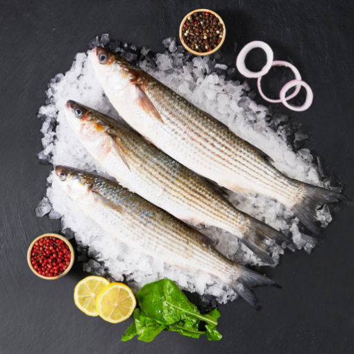 Kefal (KG) Temizlenmiş. ürün görseli