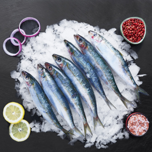 Kılçıksız İri Sardalya (KG) Temizlenmiş. ürün görseli