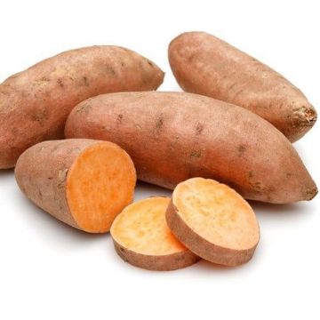 Resim Tatlı Patates Kilo