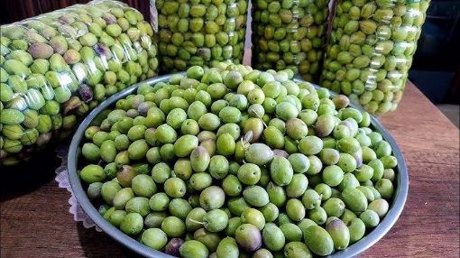 Gemlik Zeytin Kilo (Kurma Zeytin). ürün görseli