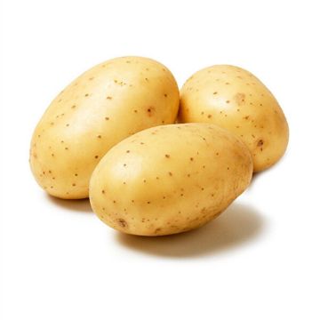 Resim Agira Patates Kilo